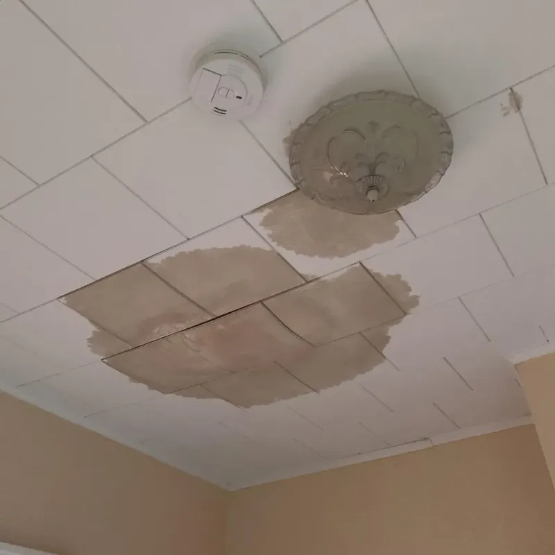 Ceiling Water Damage Repair in Galion, OH