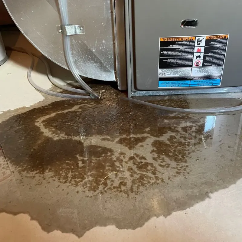 Pipe Burst and Leak Restoration in Galion, OH