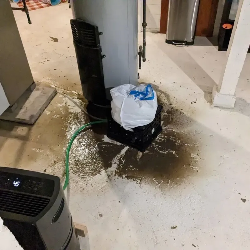 Sewage Backup Cleanup Service in Galion, OH